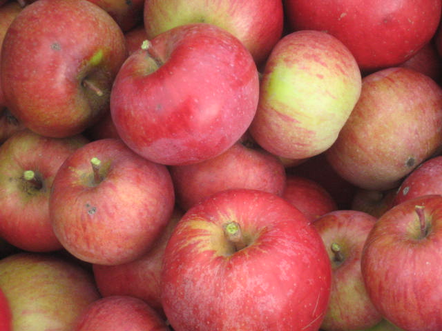 Our apples